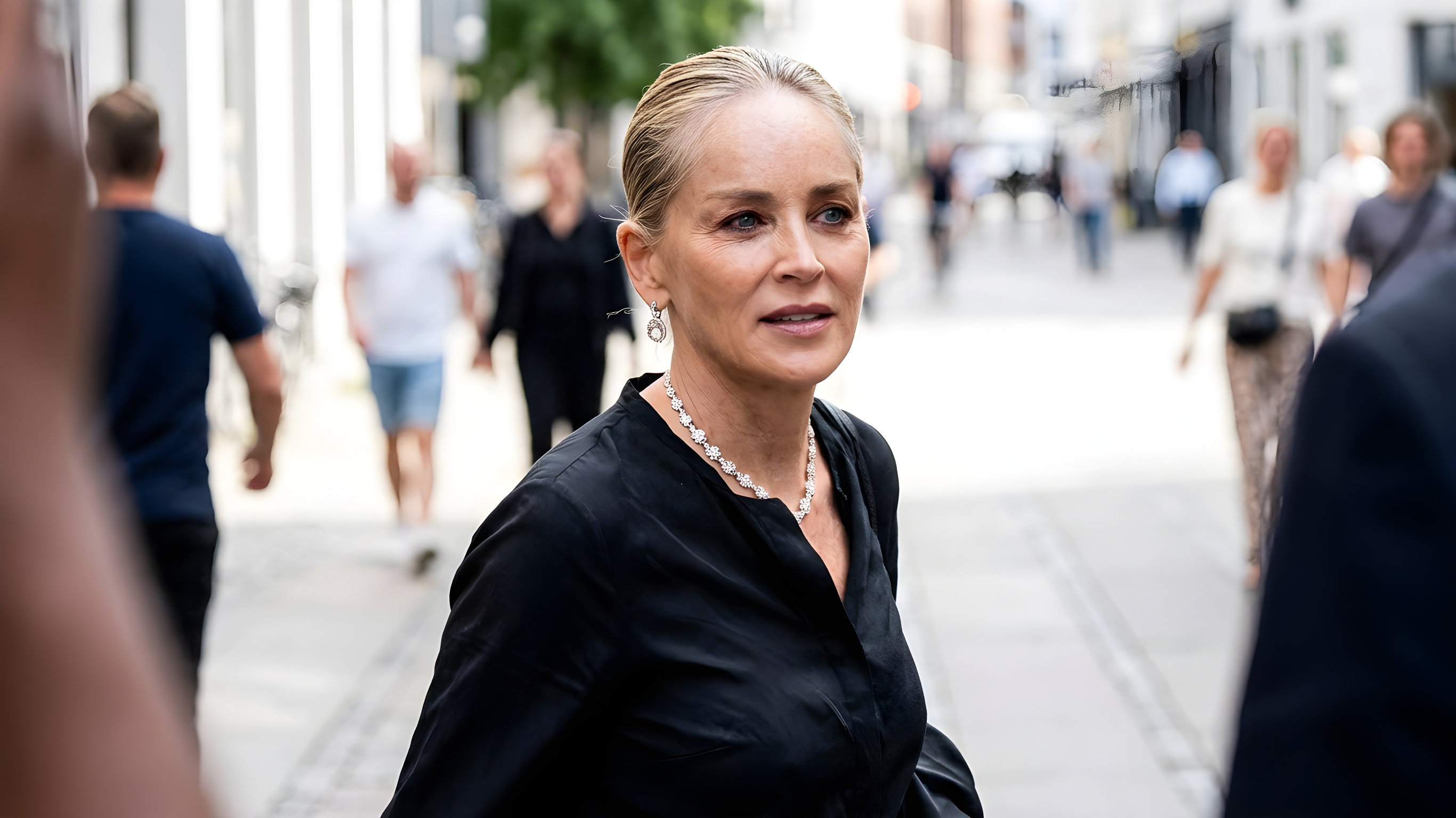 Sharon Stone dropper sex og vælger cølibat
