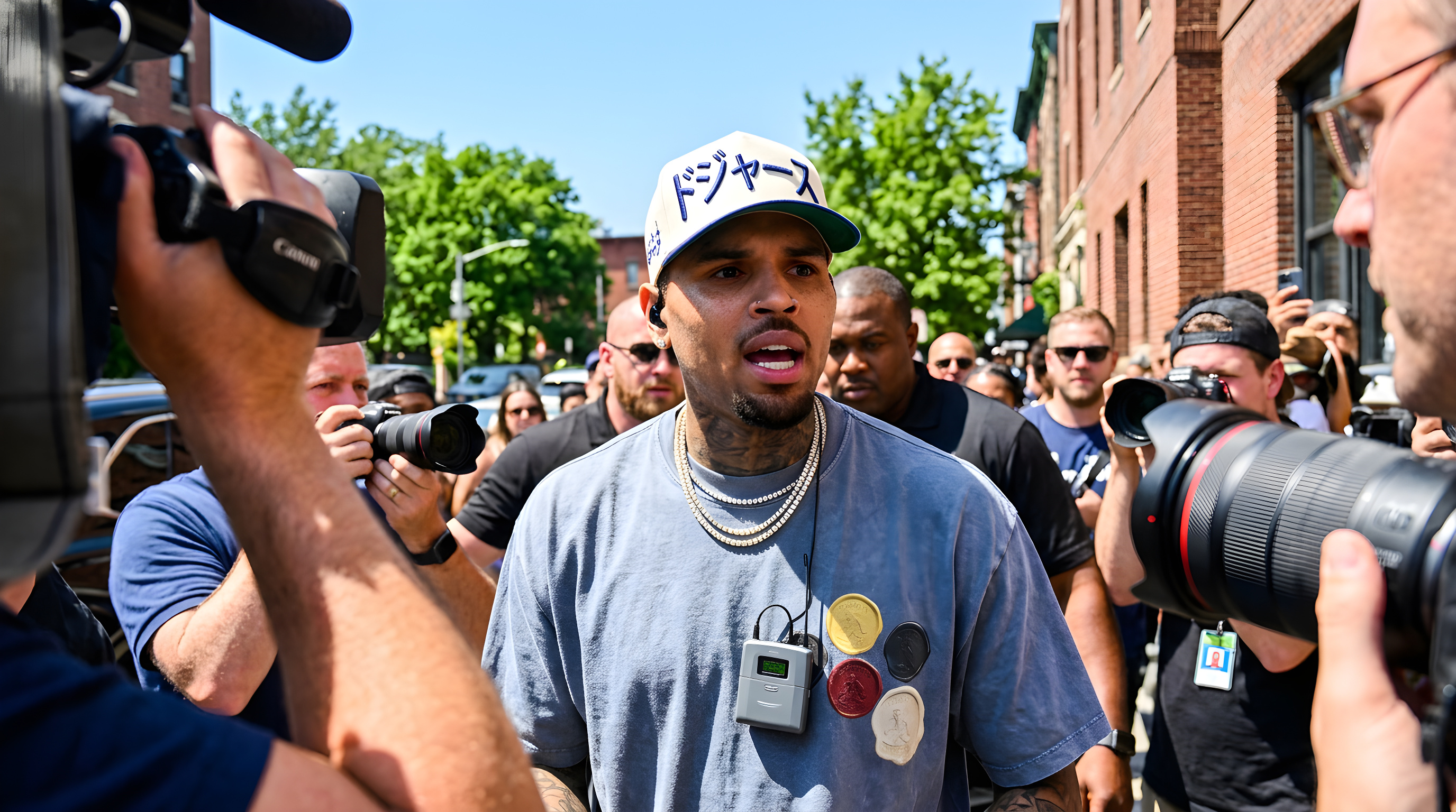 Chris Brown kæmper mod kæmpe erstatning efter hundeangreb