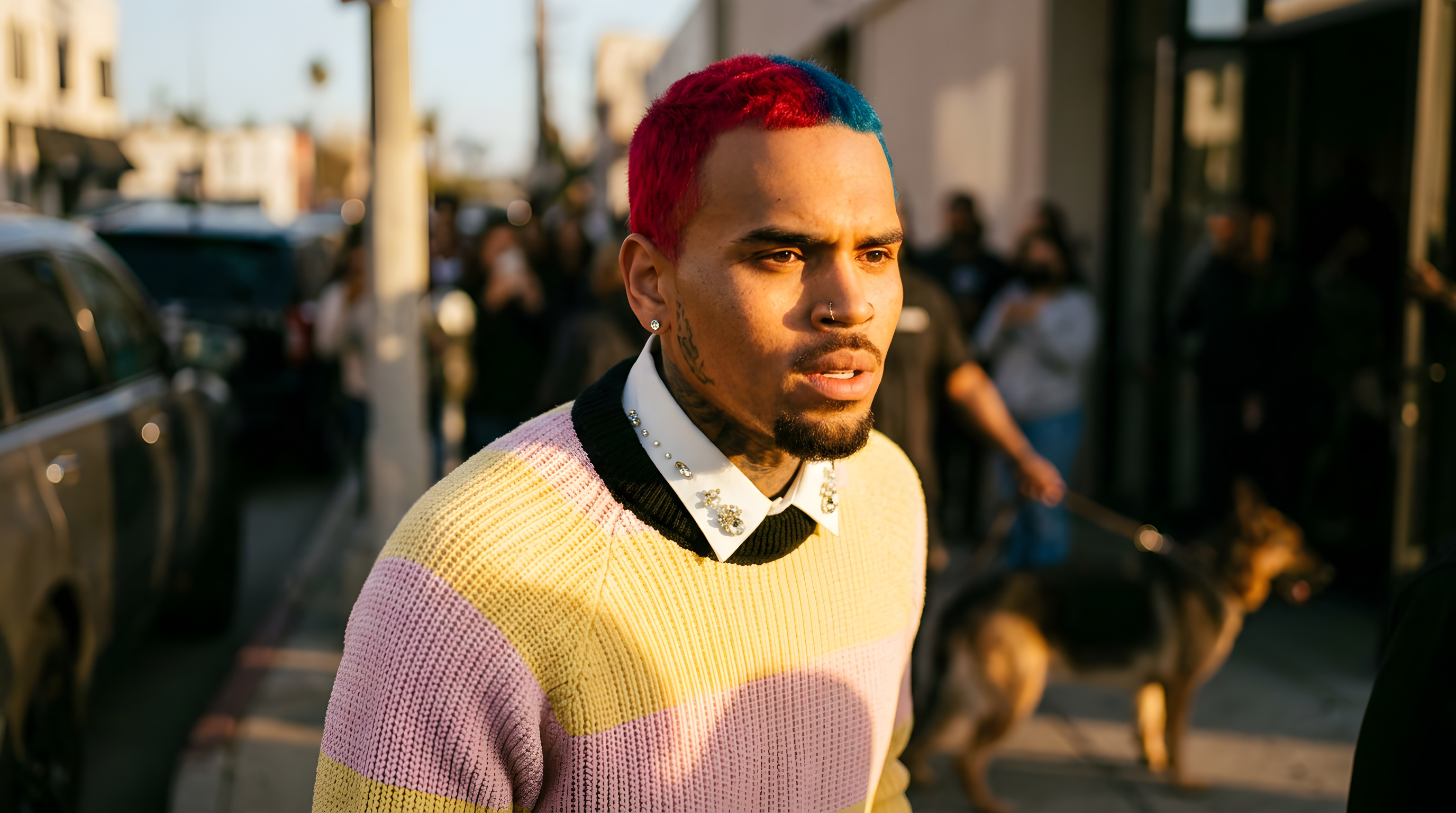 Chris Brown vil have ny retssag efter dyrt hundebid