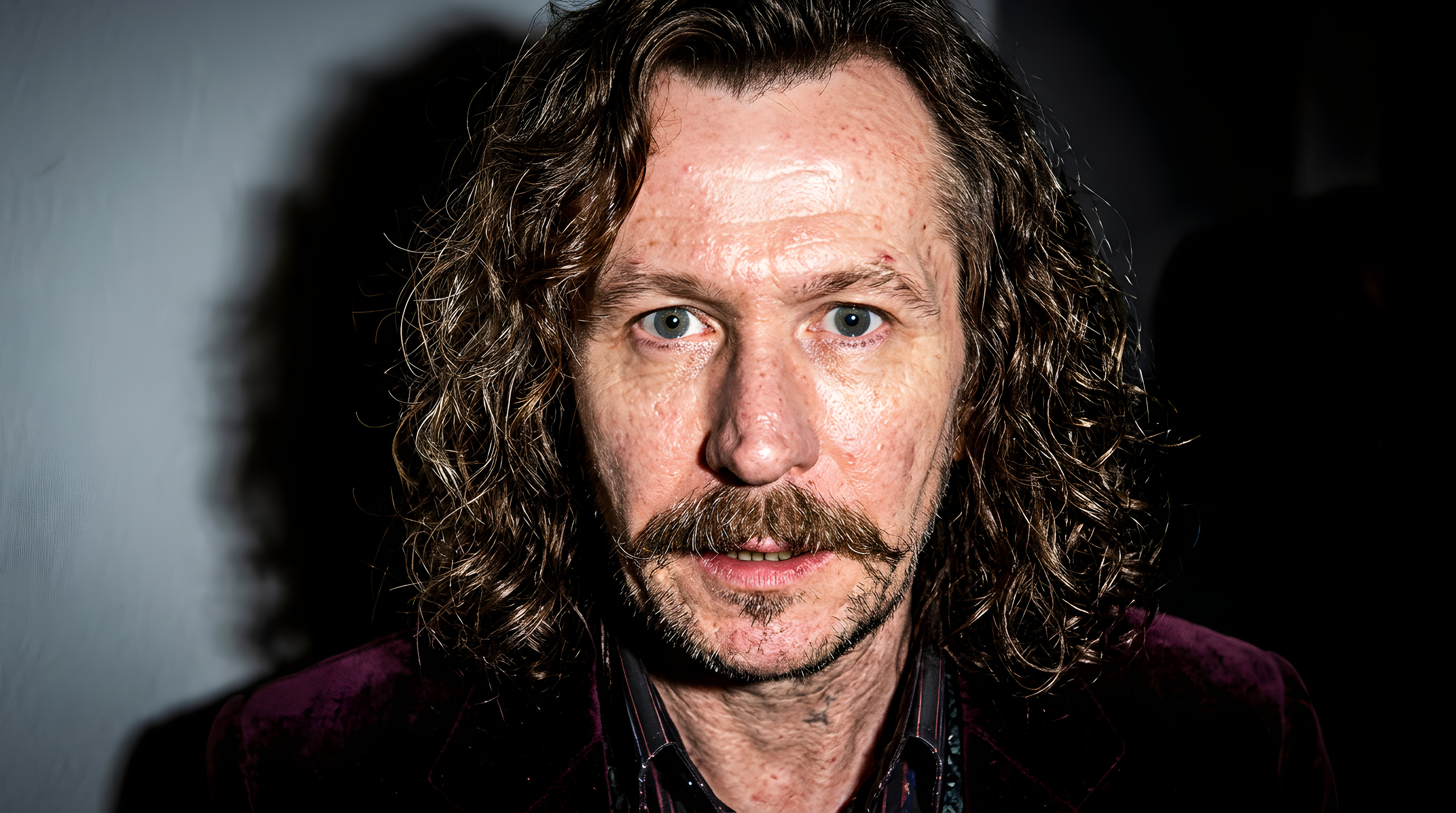 Gary Oldman tror på ny Harry Potter-serie